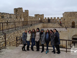 Mid-career trainees in Tigranakert